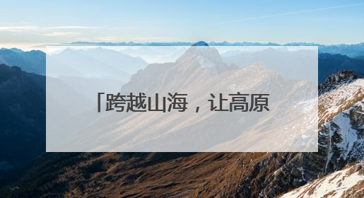 跨越山海，让高原土地结出“金果子”——援青故事②
