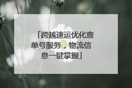 跨越速运优化查单号服务，物流信息一键掌握