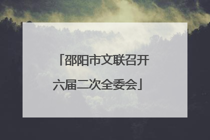 邵阳市文联召开六届二次全委会