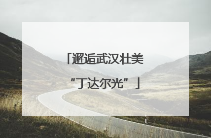 邂逅武汉壮美“丁达尔光”