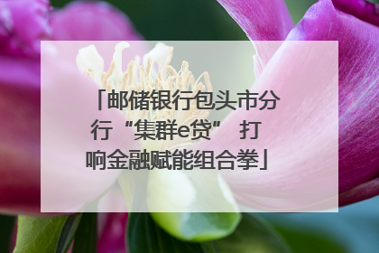 邮储银行包头市分行“集群e贷” 打响金融赋能组合拳