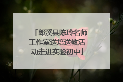 郎溪县陈玲名师工作室送培送教活动走进实验初中