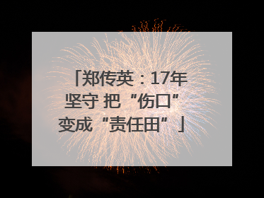 郑传英：17年坚守 把“伤口”变成“责任田”