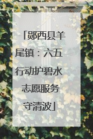 郧西县羊尾镇：六五行动护碧水 志愿服务守清波