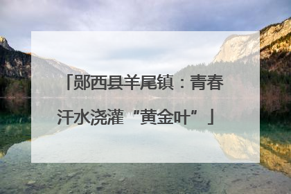 郧西县羊尾镇：青春汗水浇灌“黄金叶”