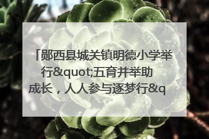 郧西县城关镇明德小学举行"五育并举助成长，人人参与逐梦行"庆六一活动