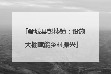 鄄城县彭楼镇：设施大棚赋能乡村振兴