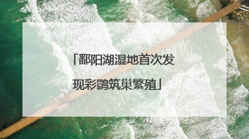鄱阳湖湿地首次发现彩鹮筑巢繁殖