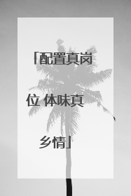 配置真岗位 体味真乡情