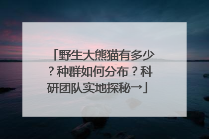 野生大熊猫有多少？种群如何分布？科研团队实地探秘→