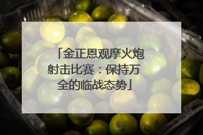 金正恩观摩火炮射击比赛：保持万全的临战态势