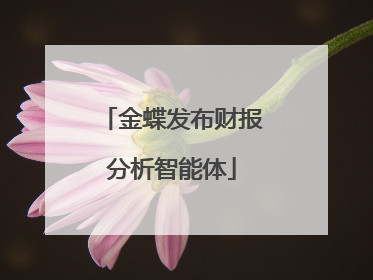 金蝶发布财报分析智能体