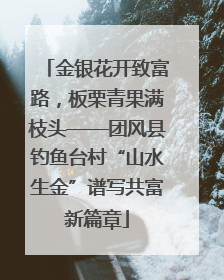 金银花开致富路，板栗青果满枝头——团风县钓鱼台村“山水生金”谱写共富新篇章