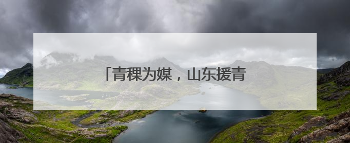 青稞为媒，山东援青产业协作模式上新