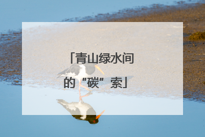 青山绿水间的“碳”索