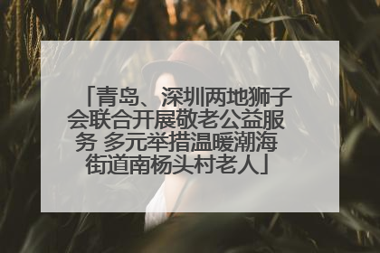 青岛、深圳两地狮子会联合开展敬老公益服务 多元举措温暖潮海街道南杨头村老人