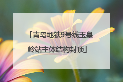 青岛地铁9号线玉皇岭站主体结构封顶
