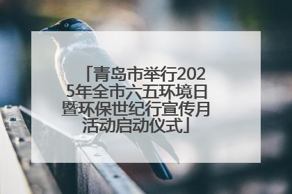 青岛市举行2025年全市六五环境日暨环保世纪行宣传月活动启动仪式