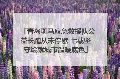 青岛斑马应急救援队公益长跑从未停歇 七载坚守绘就城市温暖底色