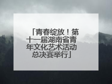 青春绽放！第十一届湖南省青年文化艺术活动总决赛举行