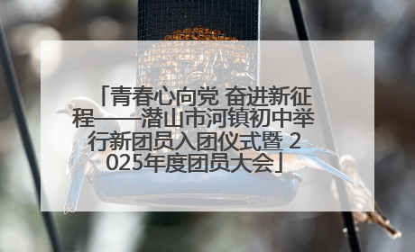 青春心向党 奋进新征程——潜山市河镇初中举行新团员入团仪式暨 2025年度团员大会