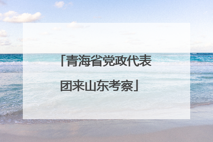 青海省党政代表团来山东考察