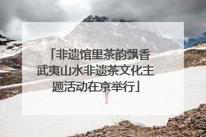 非遗馆里茶韵飘香 武夷山水非遗茶文化主题活动在京举行