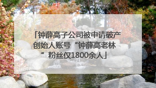 钟薛高子公司被申请破产 创始人账号“钟薛高老林”粉丝仅1800余人