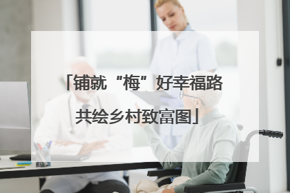 铺就“梅”好幸福路 共绘乡村致富图