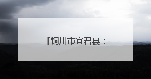 铜川市宜君县：艾草飘香迎端午 特色产业助振兴