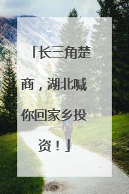 长三角楚商，湖北喊你回家乡投资！