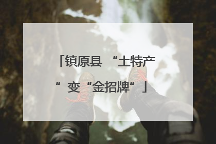 镇原县 “土特产”变“金招牌”