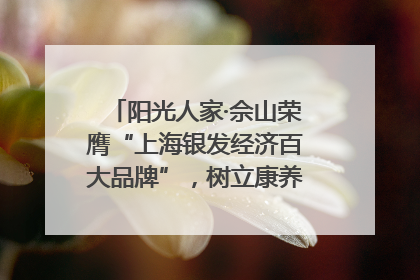 阳光人家·佘山荣膺“上海银发经济百大品牌”，树立康养行业新标杆