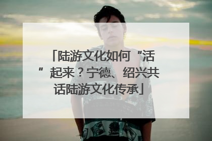 陆游文化如何“活 ”起来？宁德、绍兴共话陆游文化传承