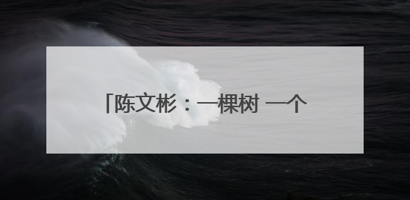 陈文彬：一棵树 一个庄 一块碑 一位英雄