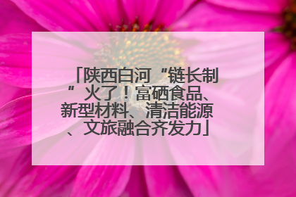 陕西白河“链长制”火了！富硒食品、新型材料、清洁能源、文旅融合齐发力