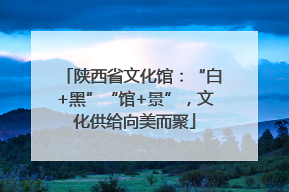 陕西省文化馆：“白+黑”“馆+景”，文化供给向美而聚