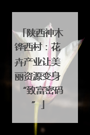陕西神木铧西村：花卉产业让美丽资源变身“致富密码”