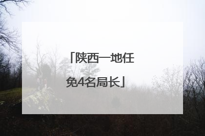 陕西一地任免4名局长