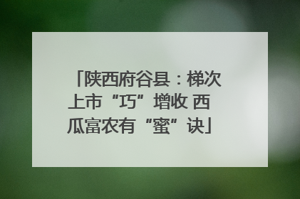 陕西府谷县：梯次上市“巧”增收 西瓜富农有“蜜”诀