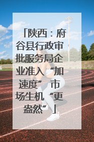 陕西：府谷县行政审批服务局企业准入“加速度” 市场生机“更盎然”