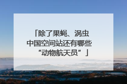 除了果蝇、涡虫 中国空间站还有哪些“动物航天员”