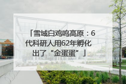 雪域白鸡鸣高原：6代科研人用62年孵化出了“金蛋蛋”