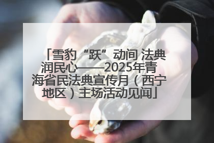 雪豹“跃”动间 法典润民心——2025年青海省民法典宣传月（西宁地区）主场活动见闻