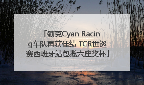 领克Cyan Racing车队再获佳绩 TCR世巡赛西班牙站包揽六座奖杯