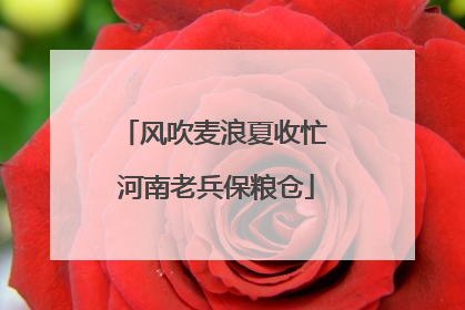 风吹麦浪夏收忙 河南老兵保粮仓
