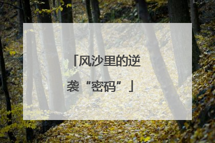 风沙里的逆袭“密码”