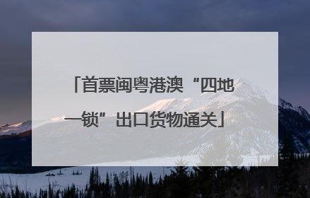首票闽粤港澳“四地一锁”出口货物通关