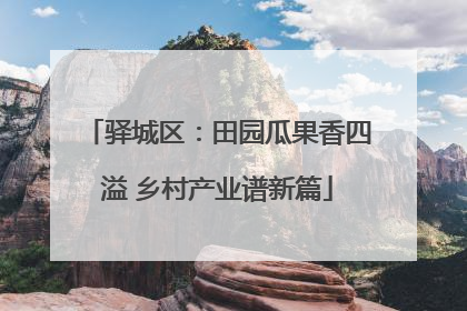 驿城区：田园瓜果香四溢 乡村产业谱新篇