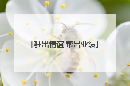 驻出情谊 帮出业绩